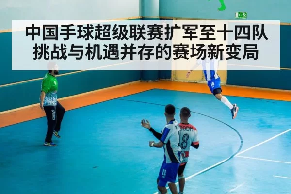 中国手球超级联赛扩军至十四队挑战与机遇并存的赛场新变局